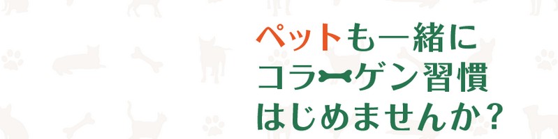 �y�b�g�p�R���[�Q�� �R���Q�l�C�h���T�C�g